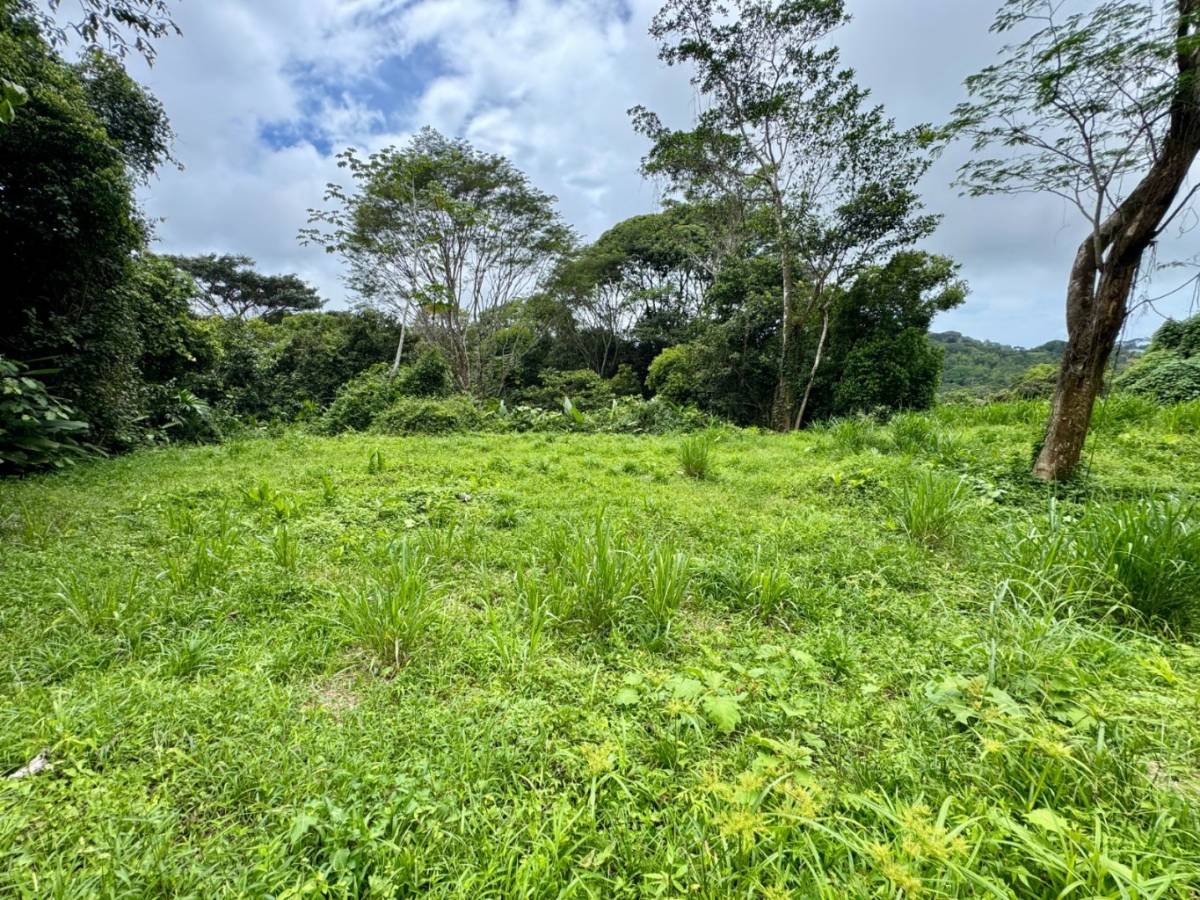 Property at Dominical