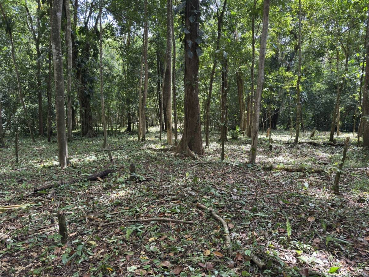 Propiedad en Quepos