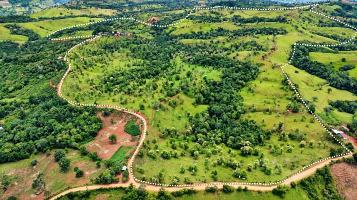 Finca en Pejibaye