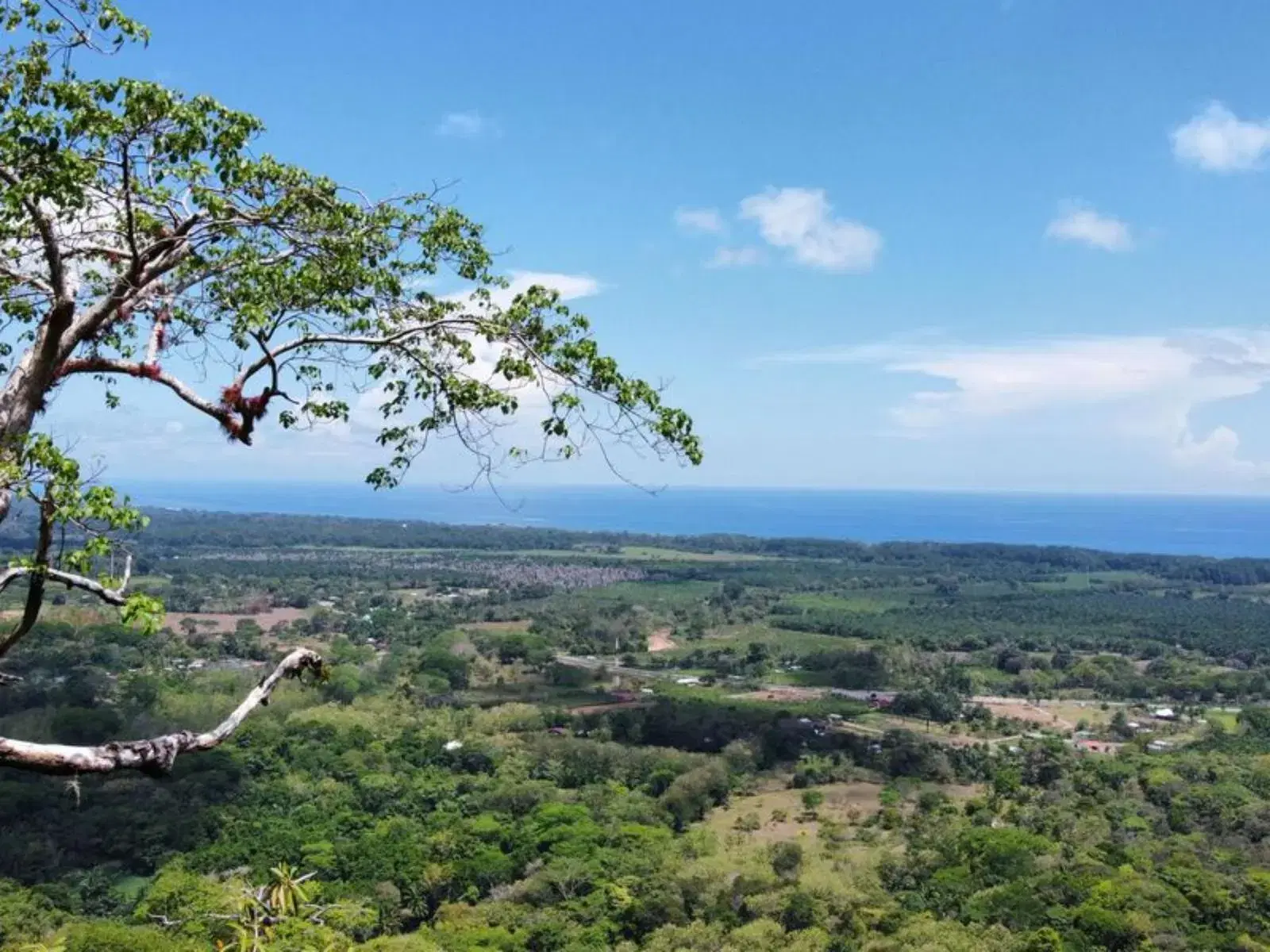 Land at Savegre