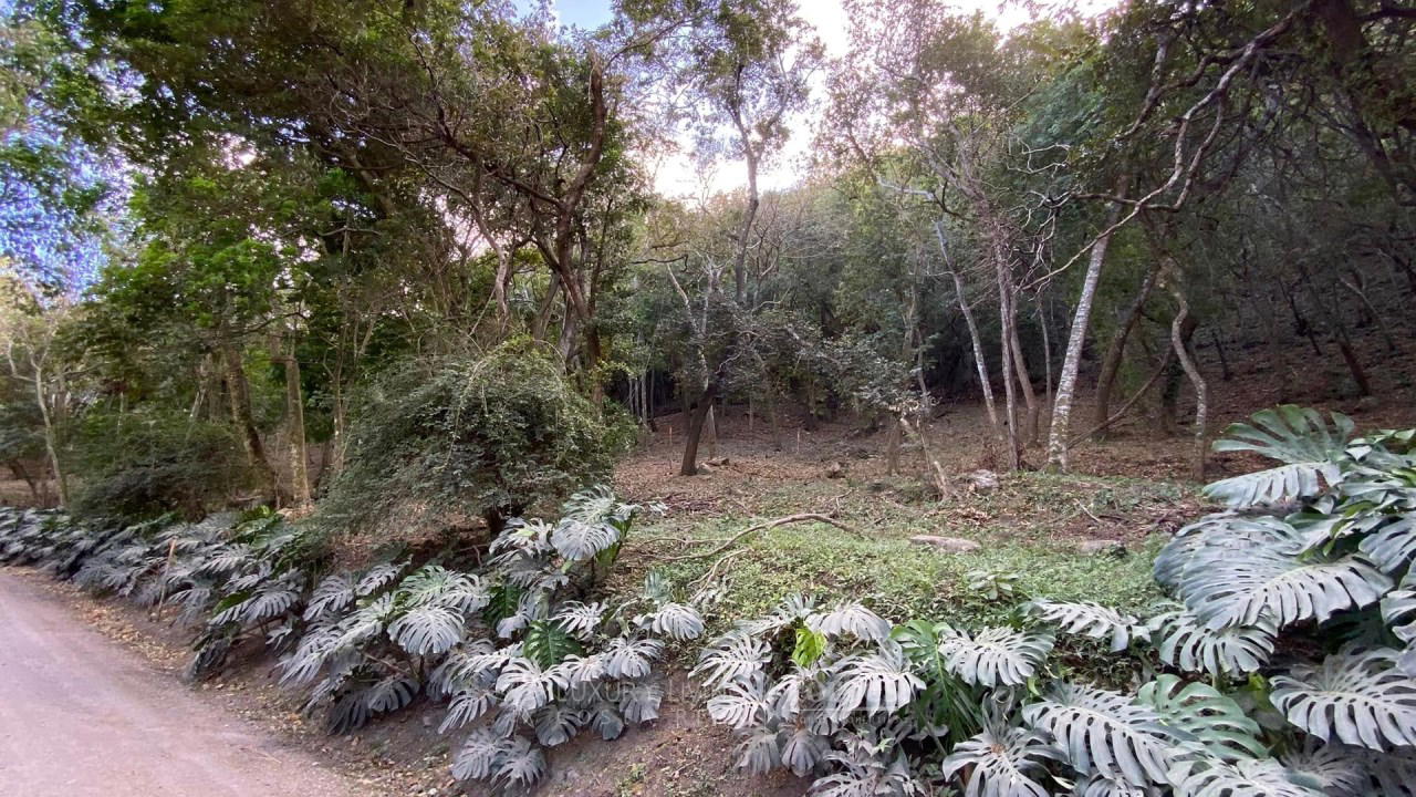 Property at Piedades