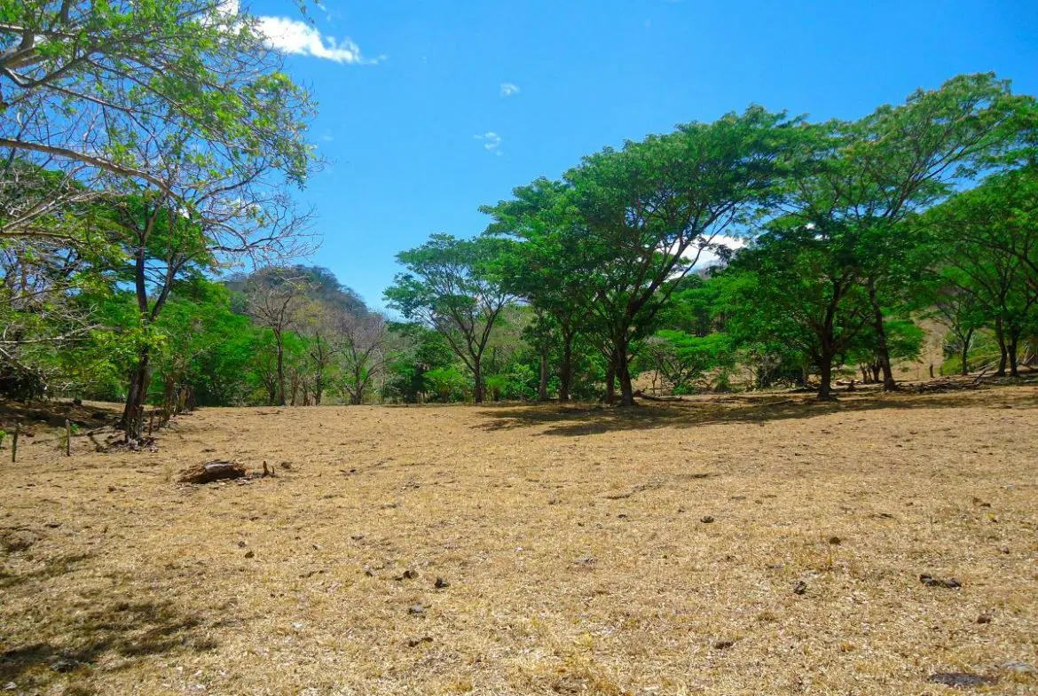 Property at Atenas