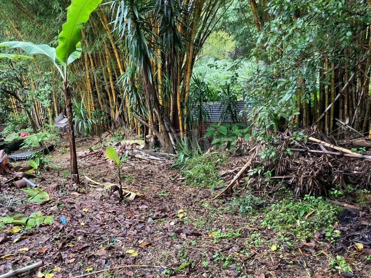 Propiedad en Dulce Nombre