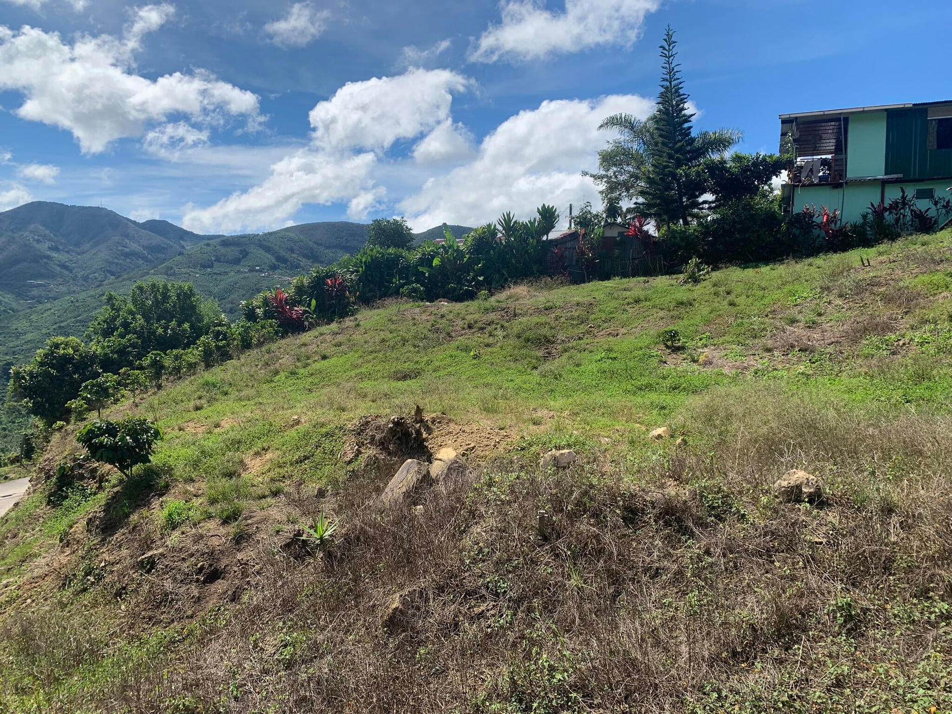 Property at Frailes