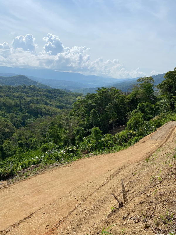 Terreno en Bahía Ballena