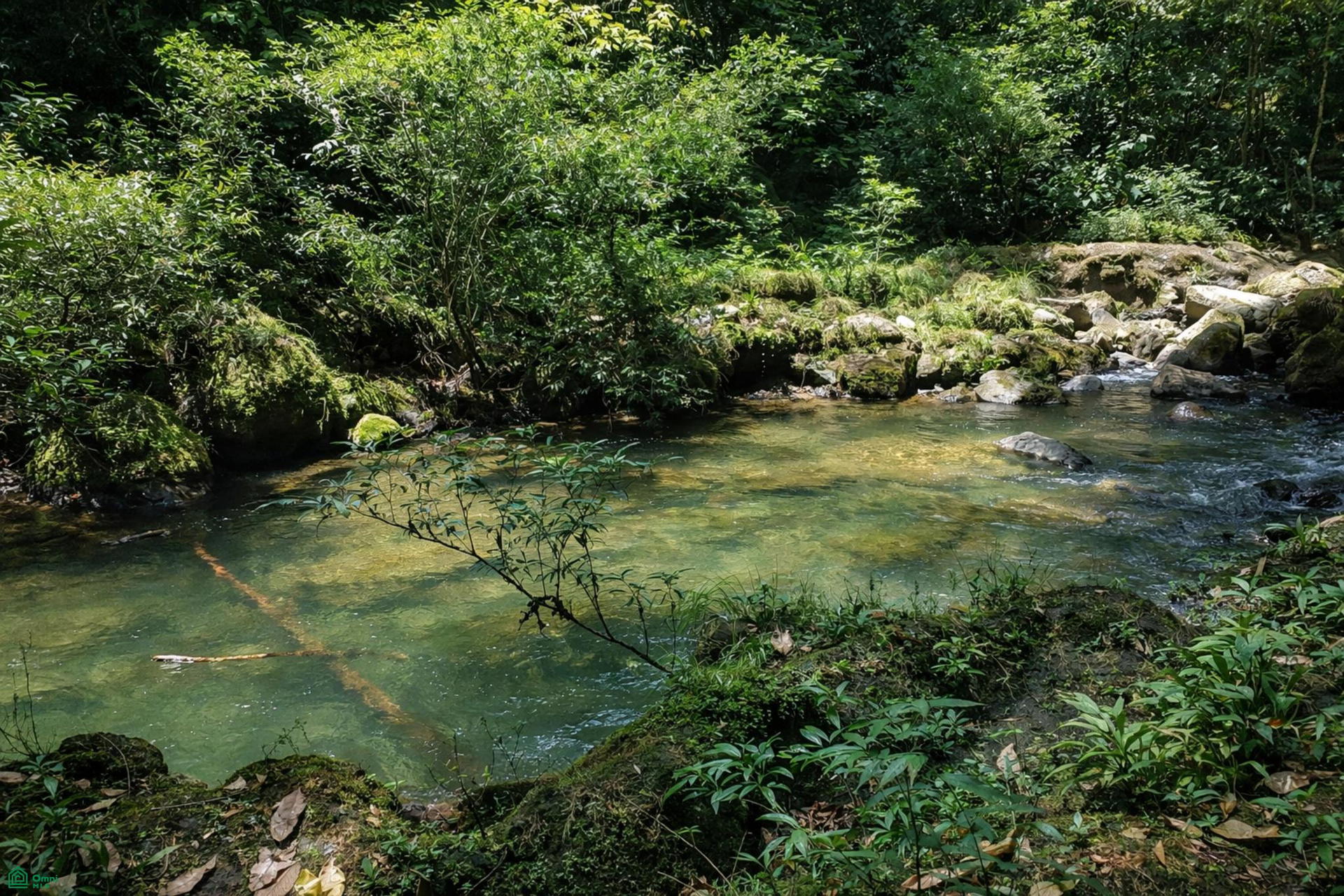 Land at La Virgen