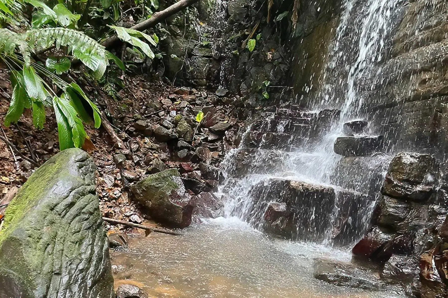 House at Bahía Ballena