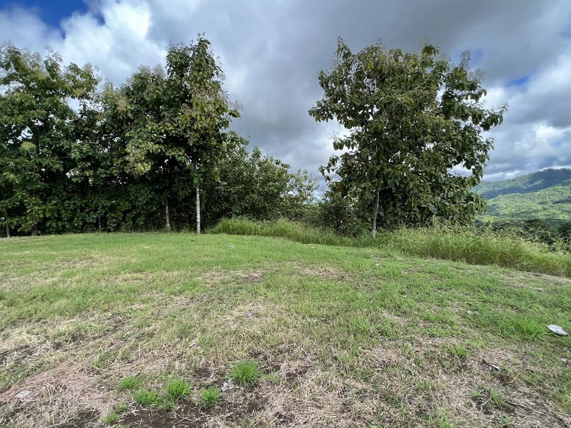Terreno en Cóbano
