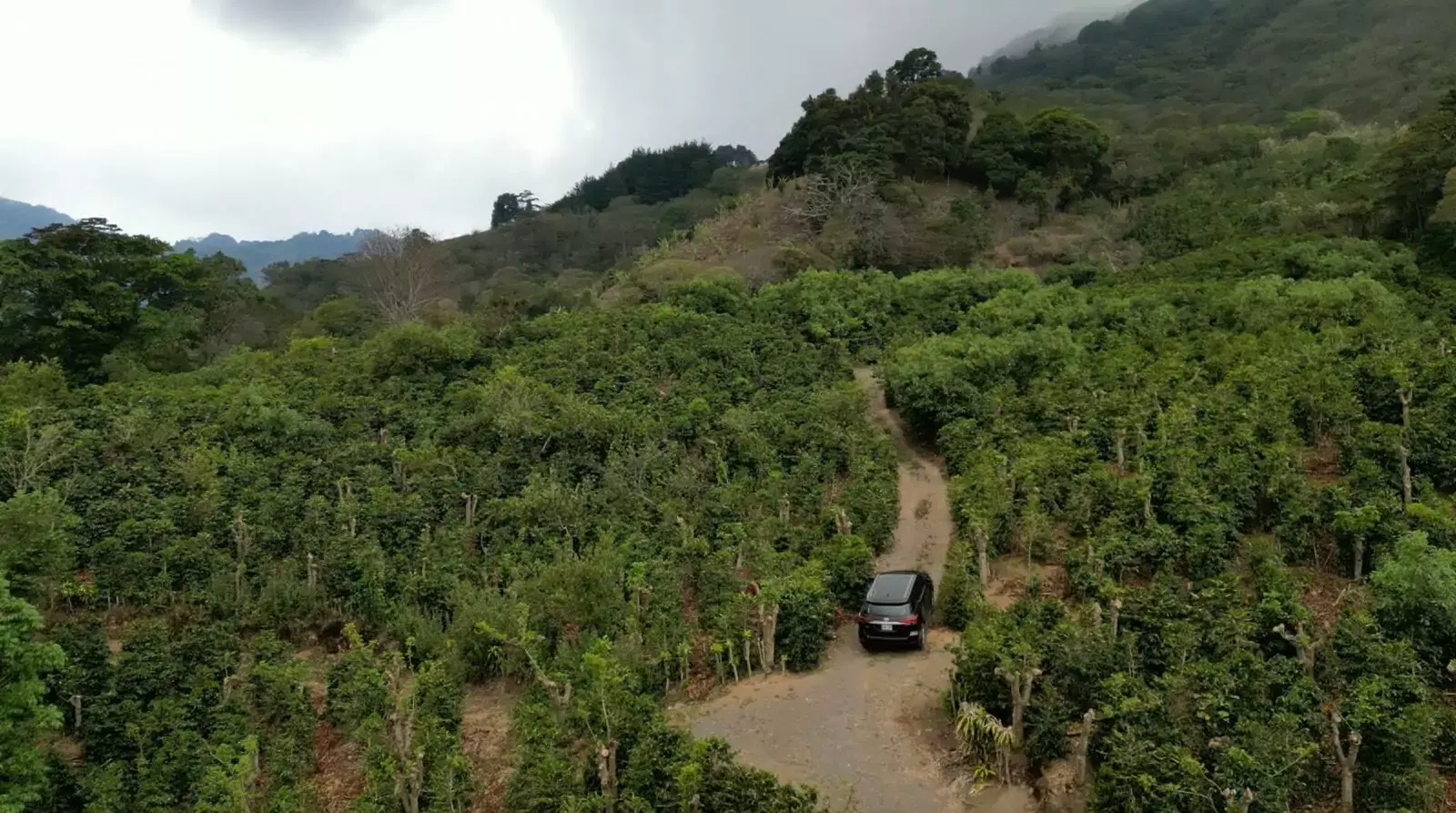 Propiedad en Copey