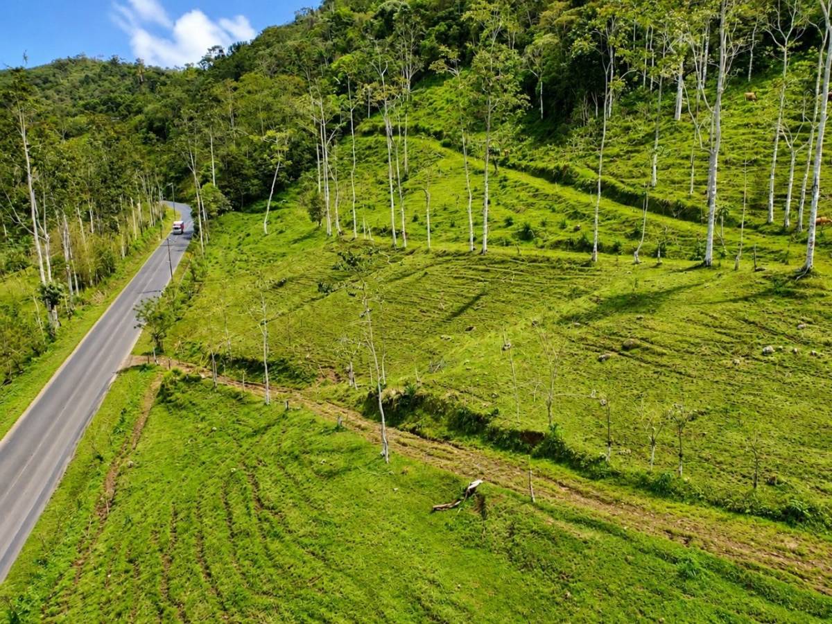 Finca en Turrialba