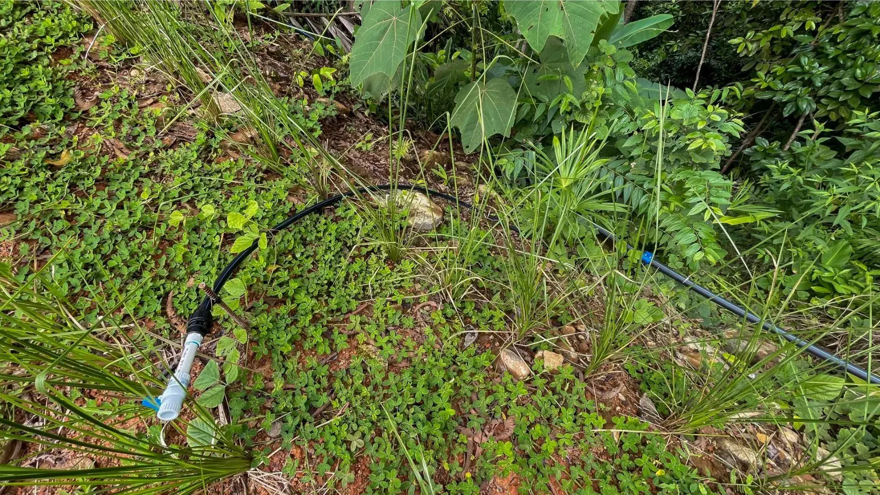 Terreno en Bahía Ballena