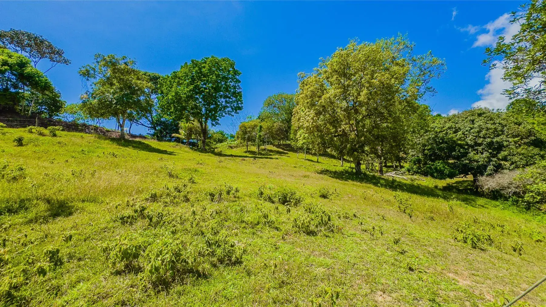 Land at Puerto Cortés