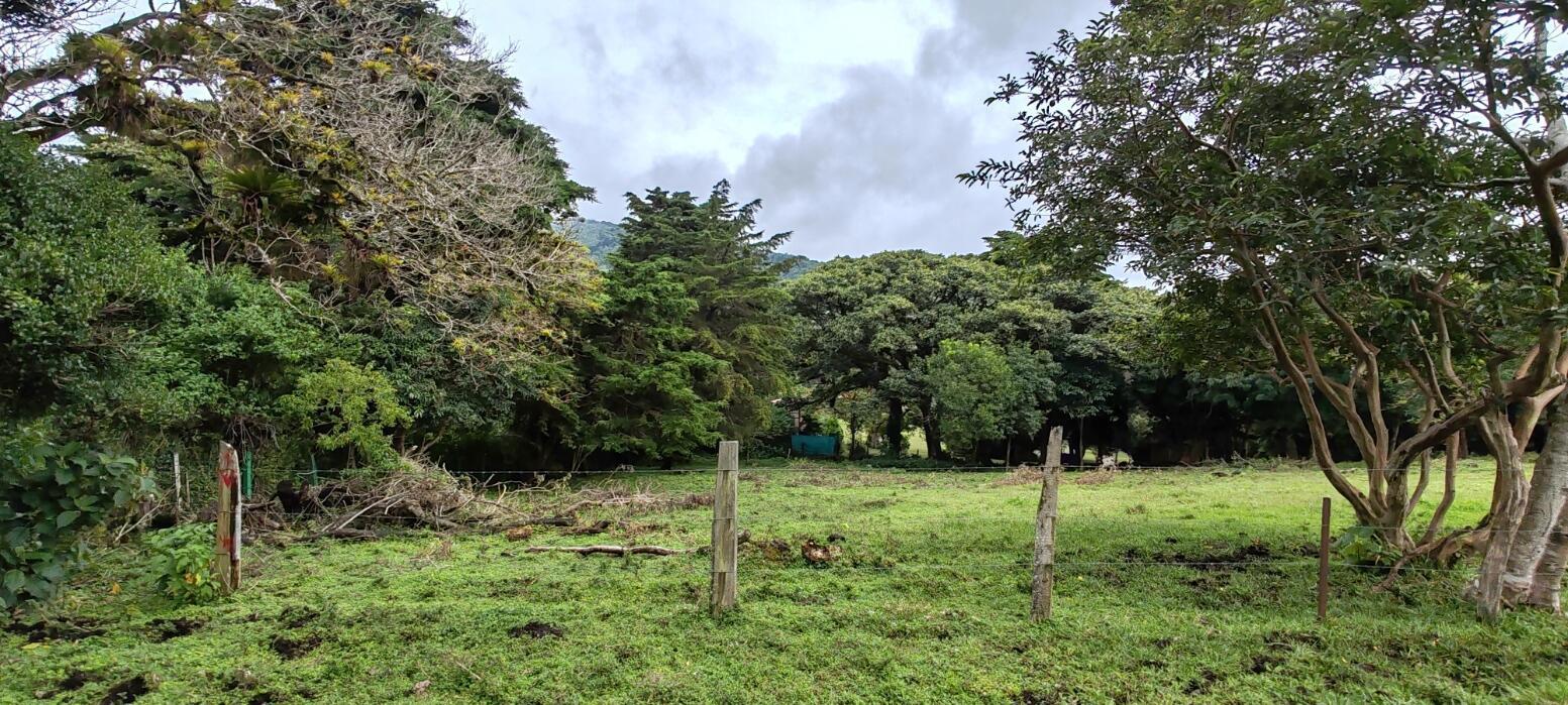 Propiedad en Concepción