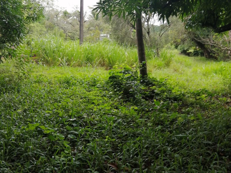 Terreno en Atenas