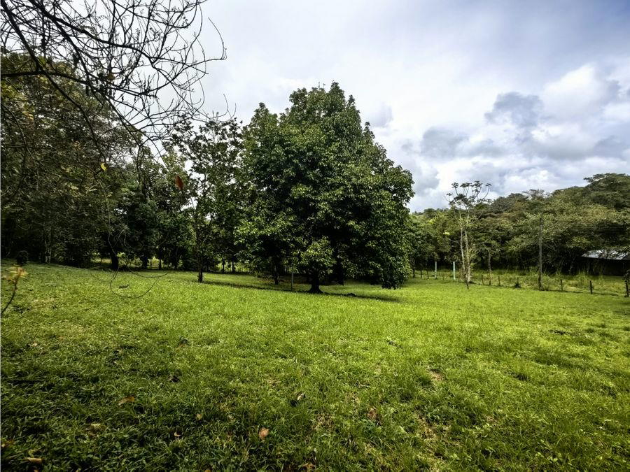 Land at El Mastate