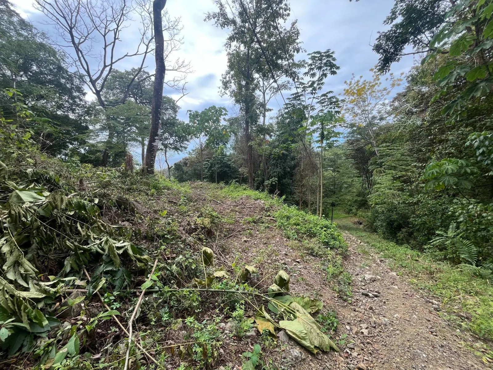 Terreno en Cóbano