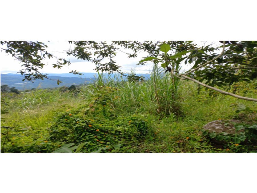 Terreno en Orosí