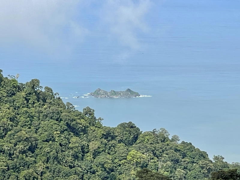 Land at Bahía Ballena