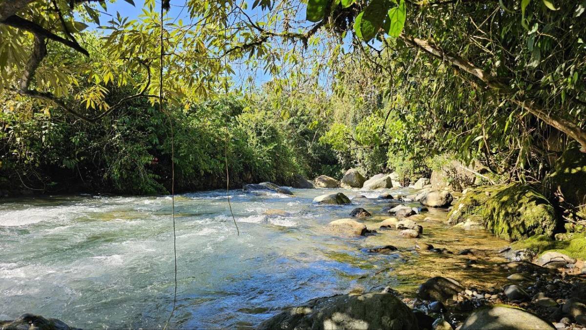 Propiedad en El General