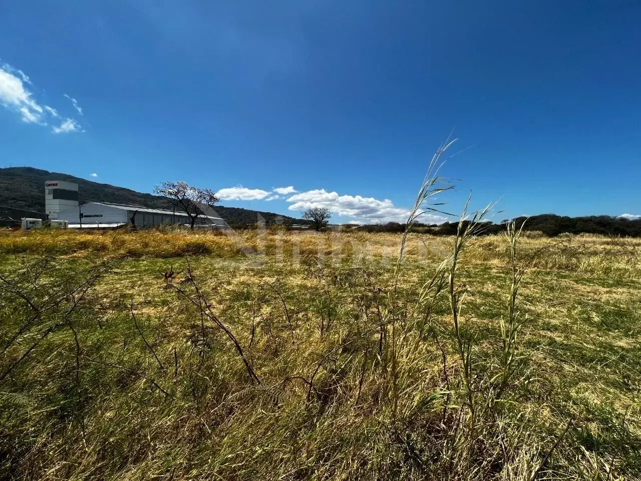 Property at Piedades
