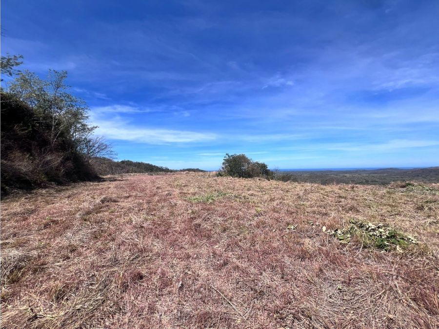 Propiedad en Tamarindo