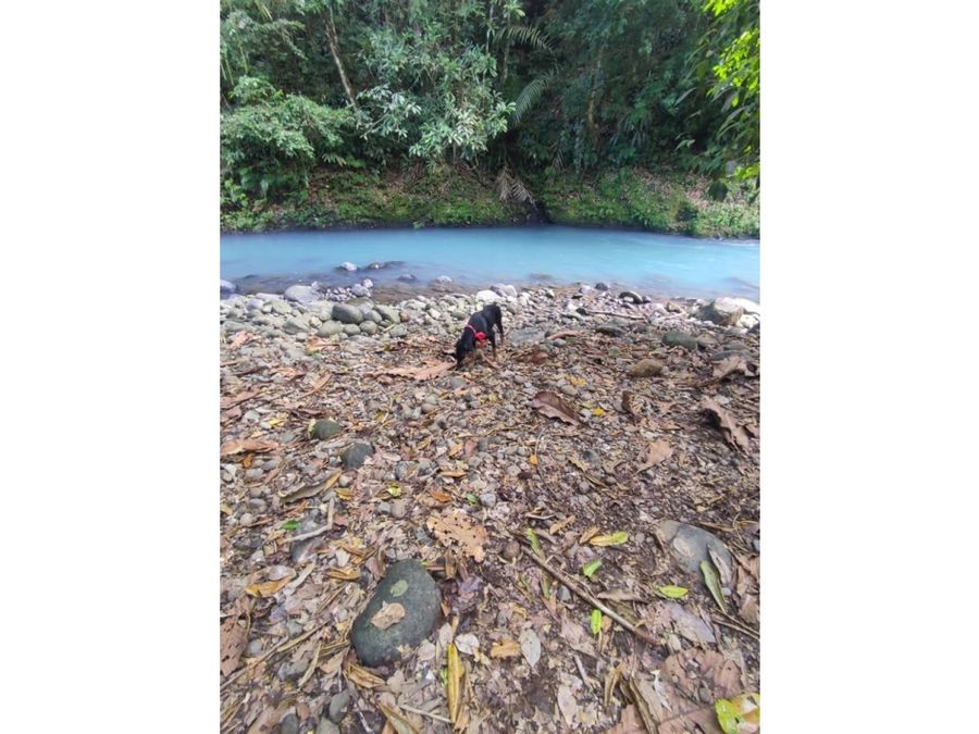 Terreno en Buenavista