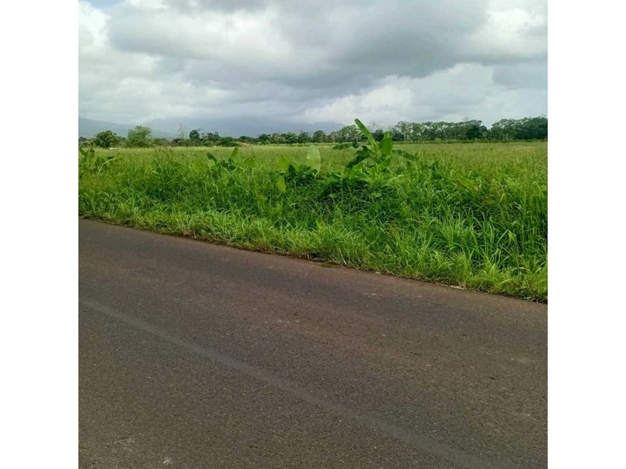 Land at Alajuela
