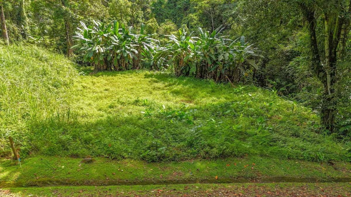 Property at Bahía Ballena