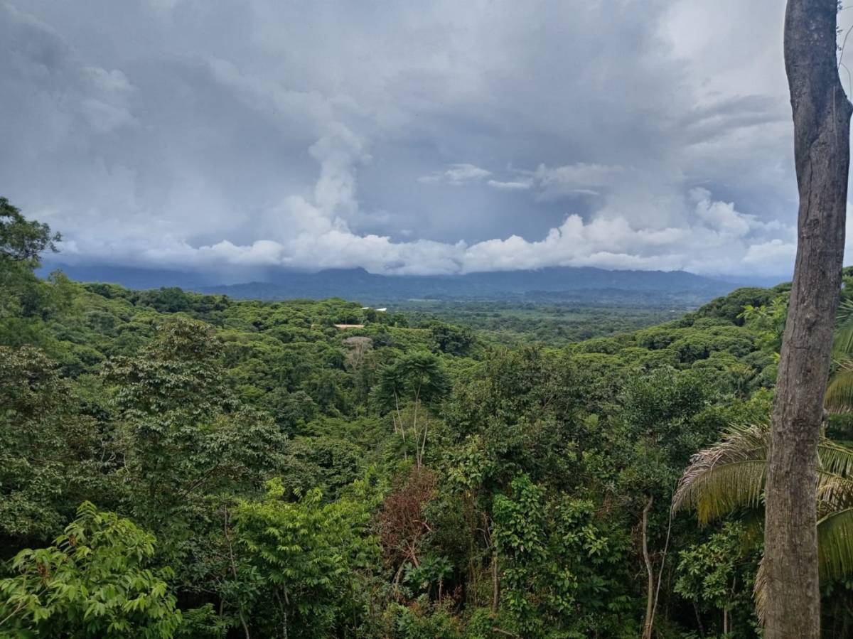 Property at Manuel Antonio