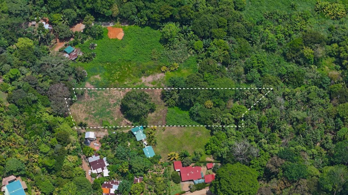 Finca en Uvita