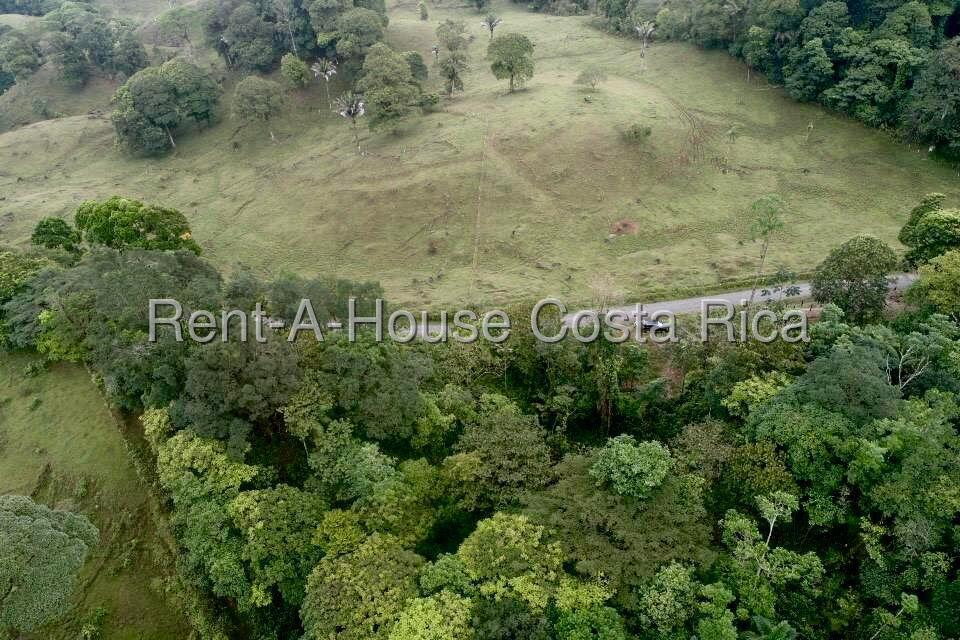 Property at Guápiles