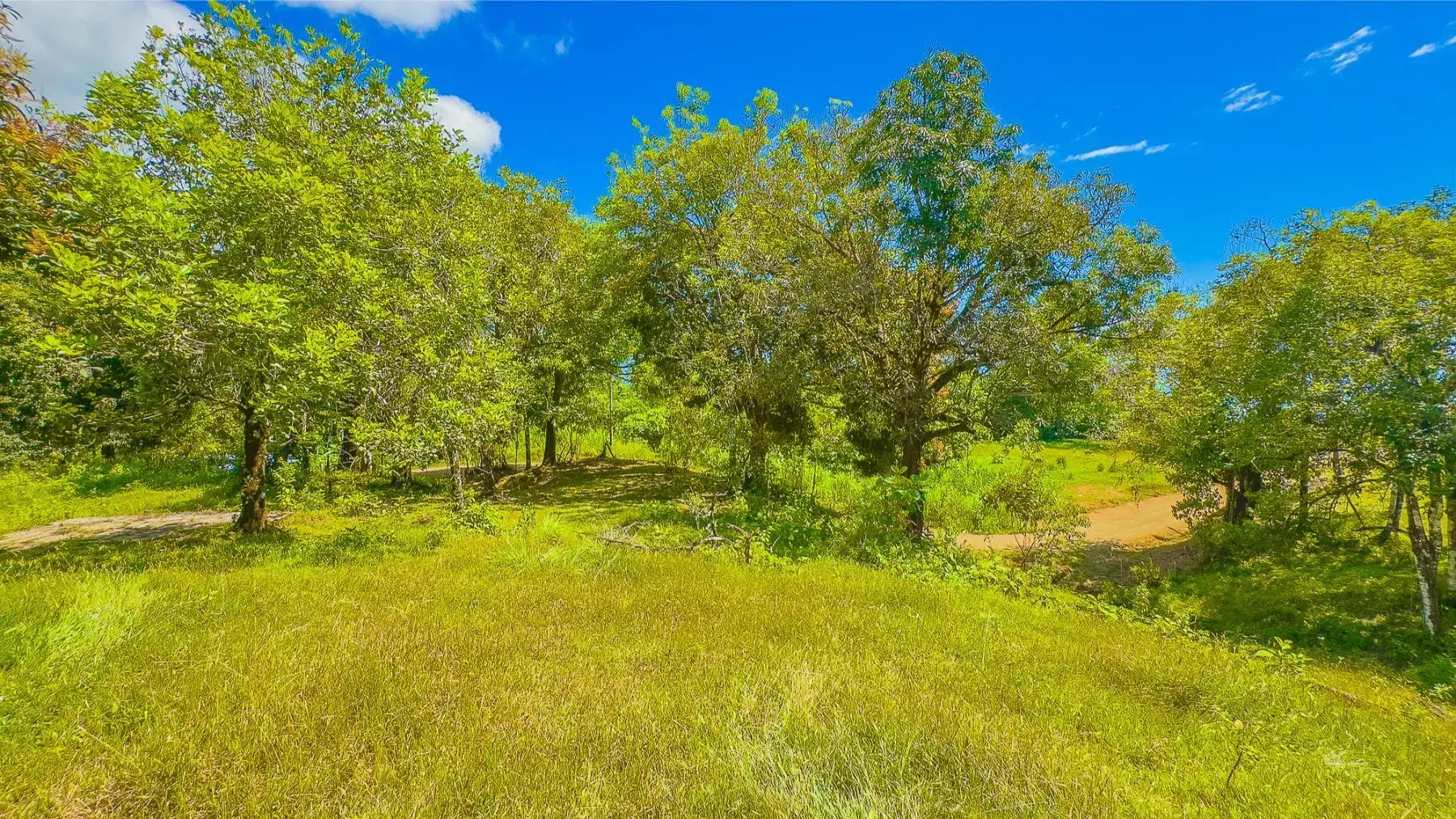 Land at Puerto Cortés
