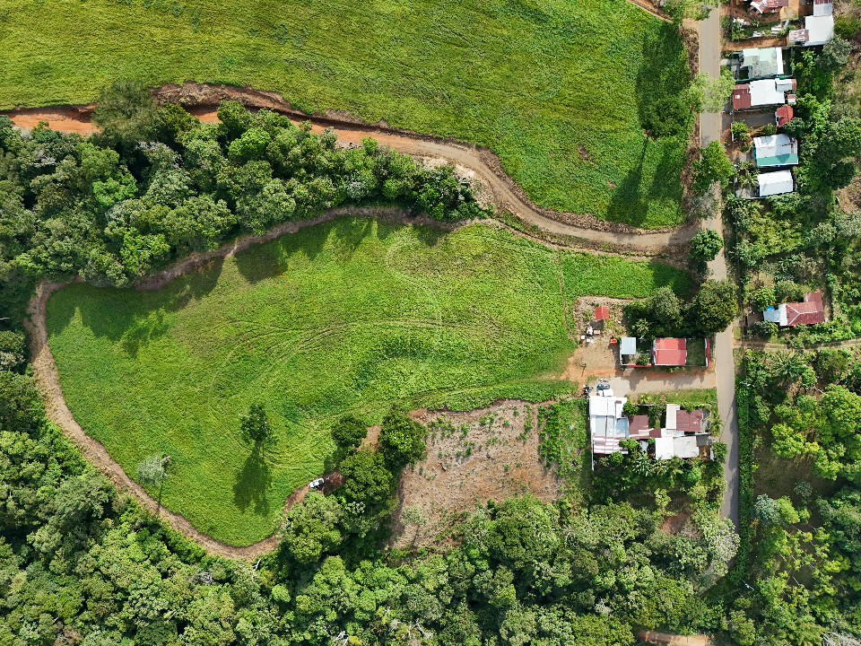 Estate at San Isidro del General