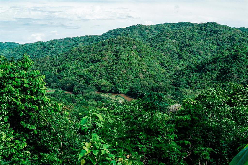 Land at Nosara