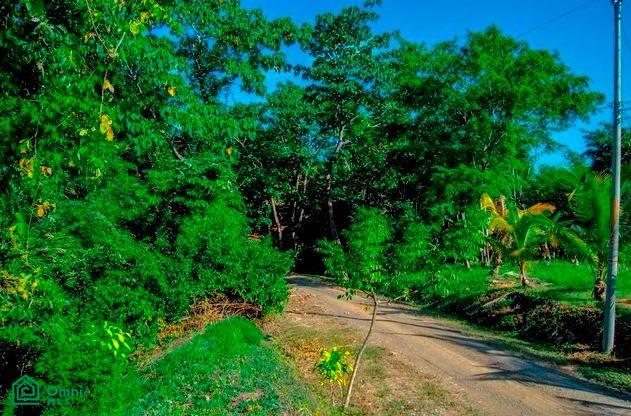 Land at Bejuco