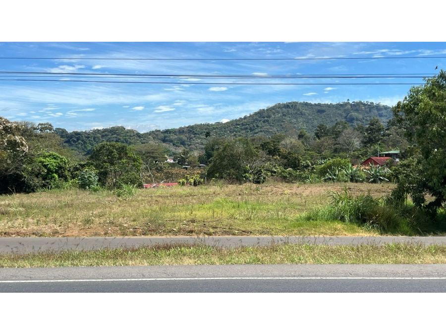 Property at Naranjo