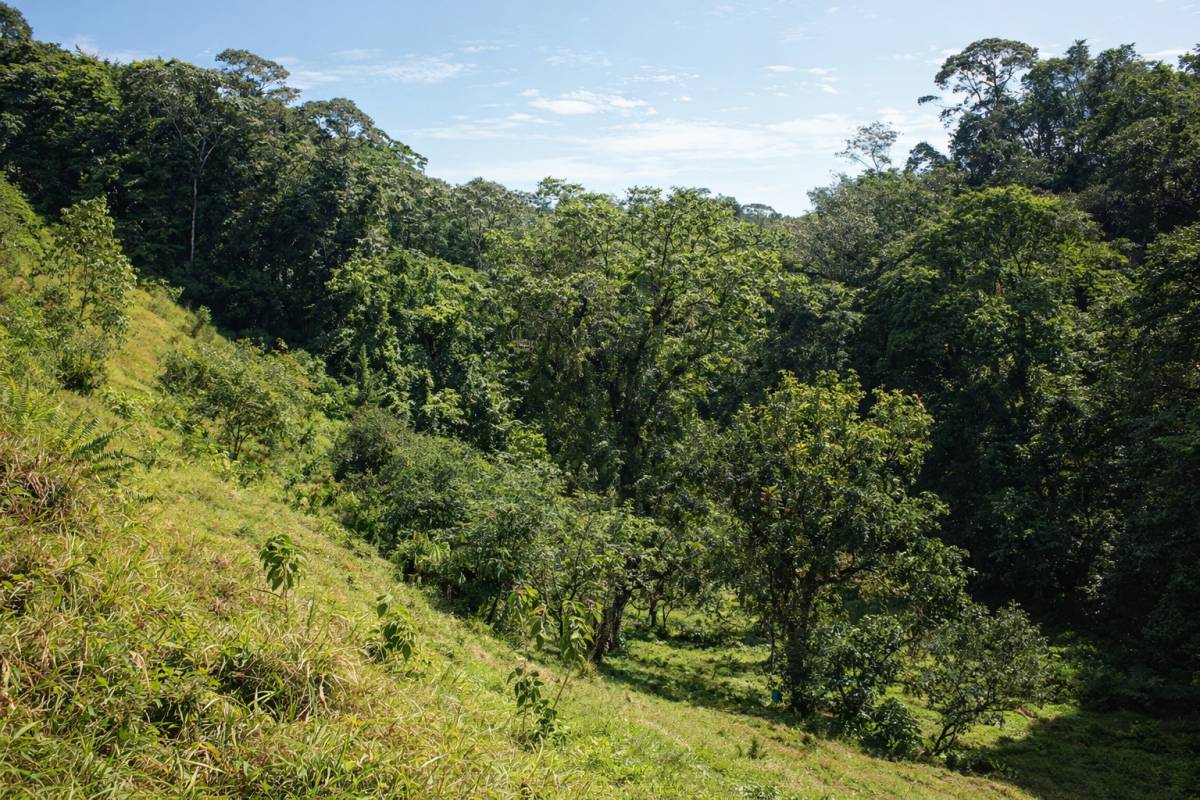 Propiedad en La Virgen