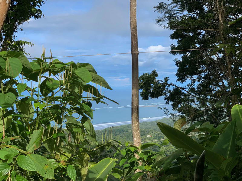 Terreno en Bahía Ballena