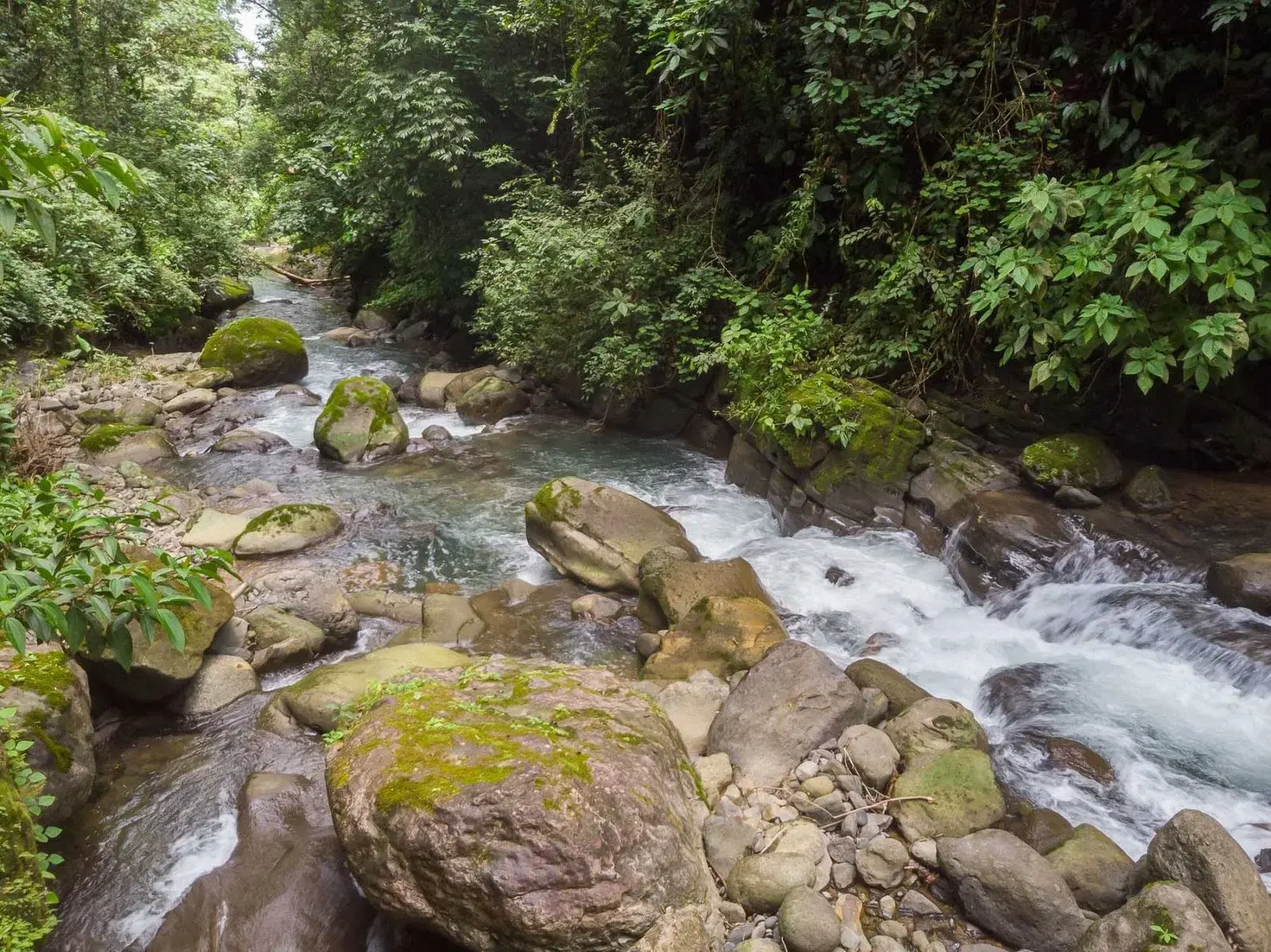 Terreno en Bahía Ballena