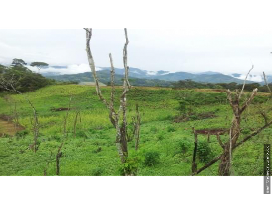 Finca en Pérez Zeledón