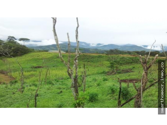Finca en Pérez Zeledón