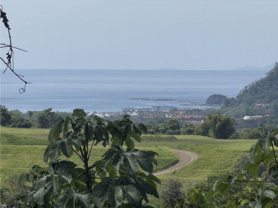 Finca en Jacó