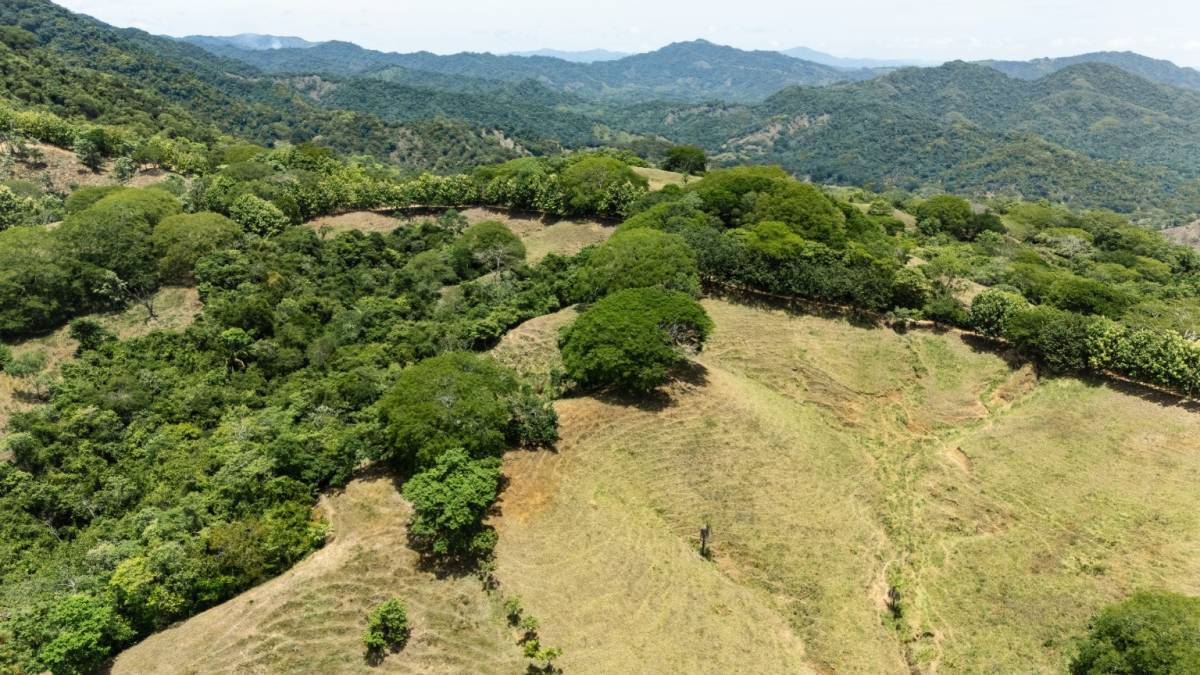 Property at Paquera