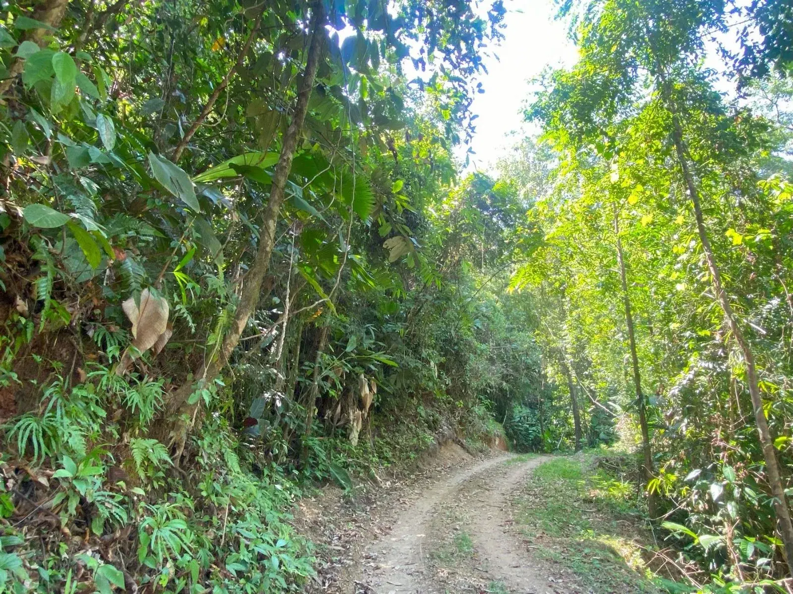Land at Golfito