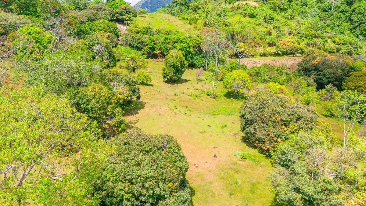 Property at Ojochal