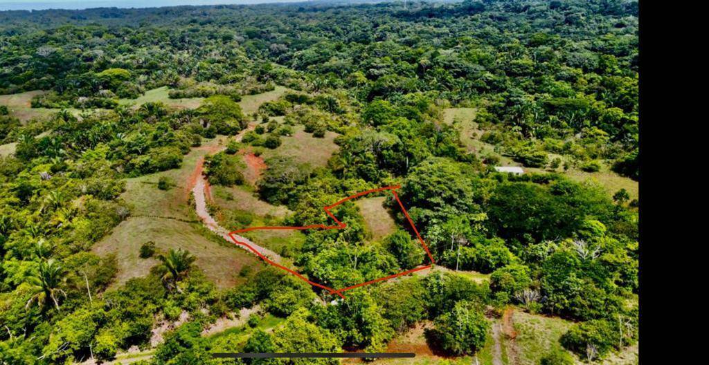 Propiedad en Parrita