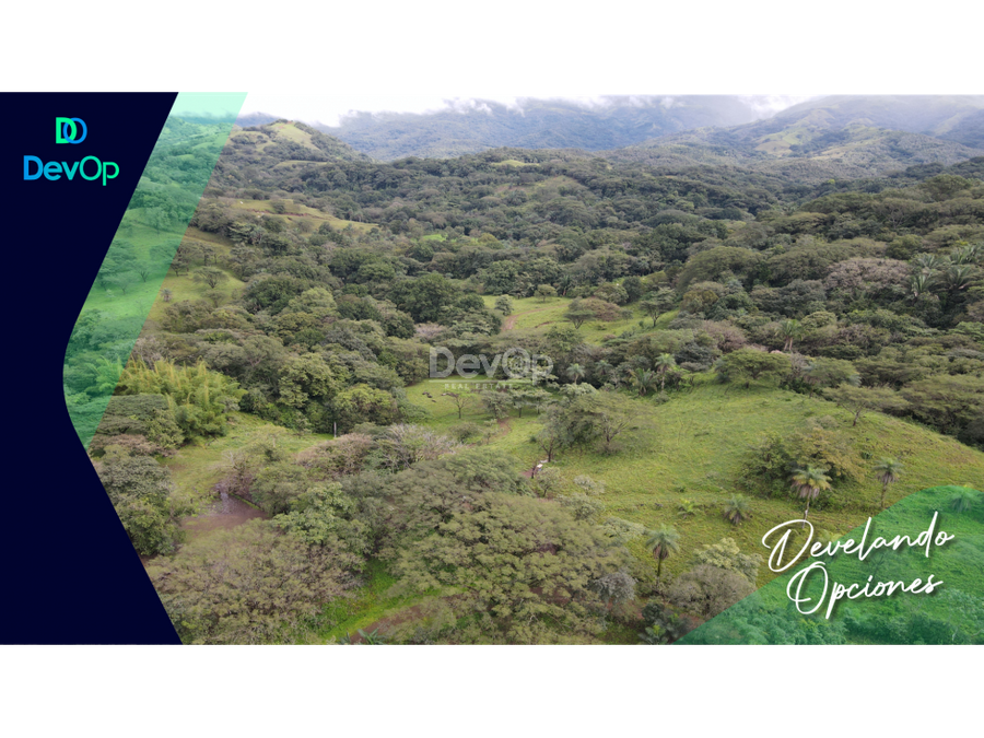 Terreno en San Mateo