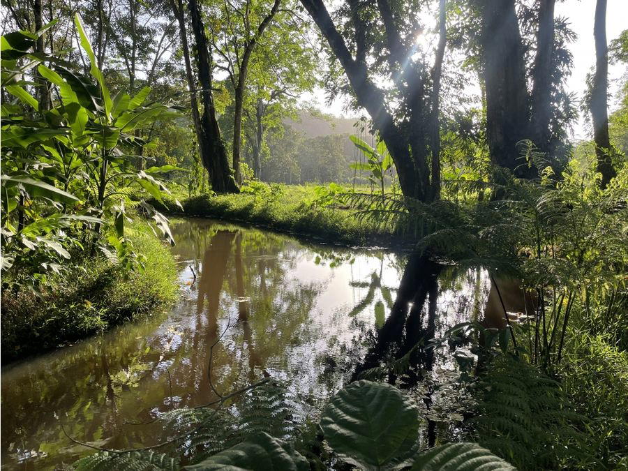 Terreno en Río Blanco