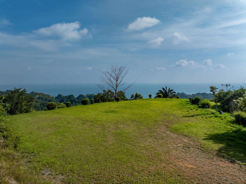 Land at Bahía Ballena
