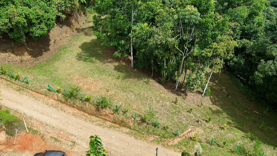 Terreno en Savegre